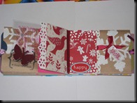 IMG_1381 IMG_1381