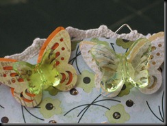 IMG_2404 IMG_2404