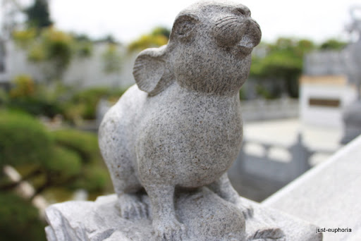 shio rat shio rat