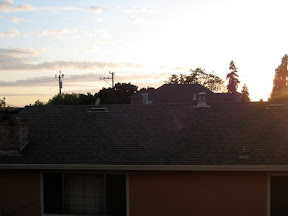 The sun was setting.  It's hard to convey in photos the stress we were under.  It was like Project Runway, and I could hear Tim Gunn in the background saying, "Make it work!"