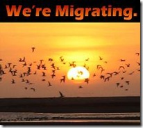 migrate small