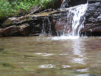 Stream