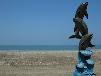 Los famosos delfines del Mar Negro!
