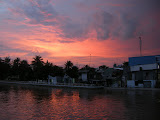 Ponida de solete.