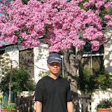 一树梨花压海棠