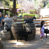 IMG_2288.JPG
