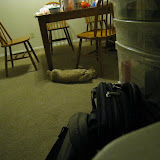 IMG_9846.JPG