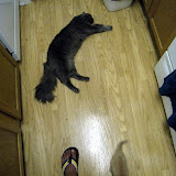 IMG_4357.JPG