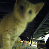 IMG_4365.JPG