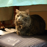 IMG_0571.JPG