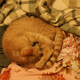 Firefox