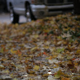IMG_5760.JPG