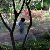 IMG_2660.JPG