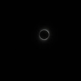 IMG_5685.JPG