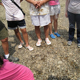 IMG_8874.JPG