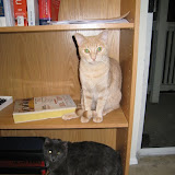 IMG_9304.JPG