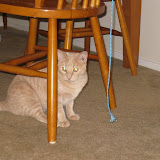 IMG_9324.JPG