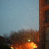 IMG_9831.JPG
