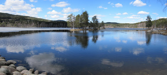 pano.jpg