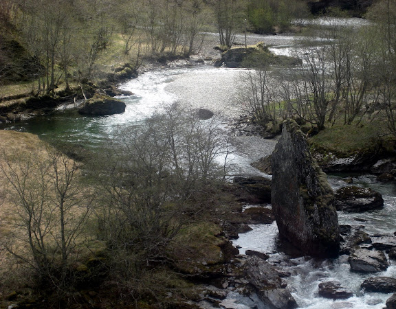 5_Train_flam2.JPG