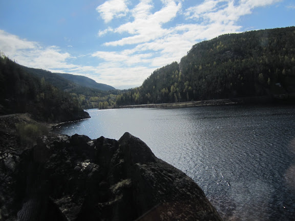 4_train_Myrdal.JPG
