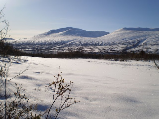 PA100061.JPG
