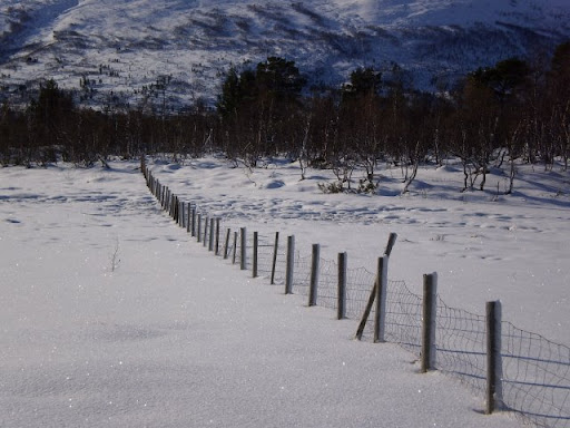 PA100062.JPG
