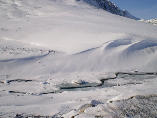 PA100074.JPG
