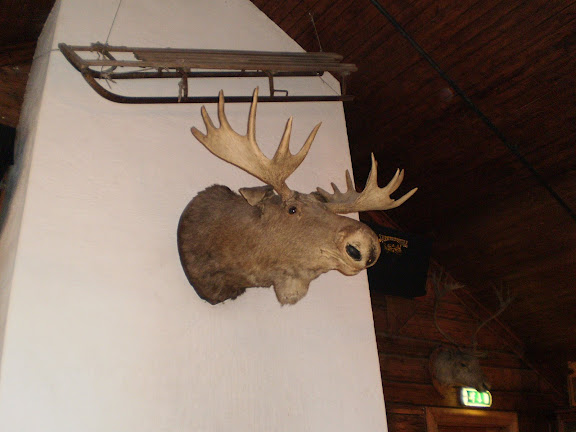 PA170131.JPG