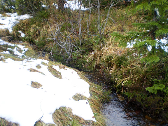 PA170125.JPG