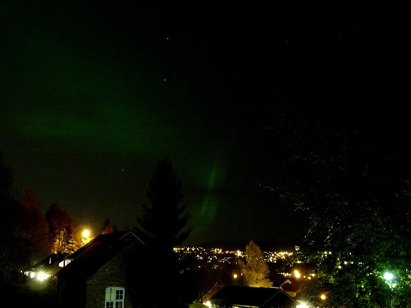 polar 1.jpg