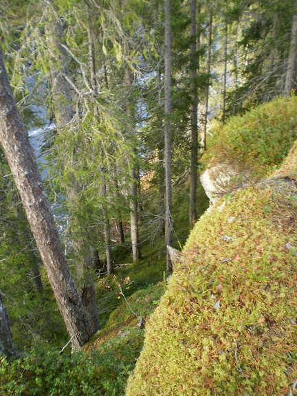 PA240193.JPG