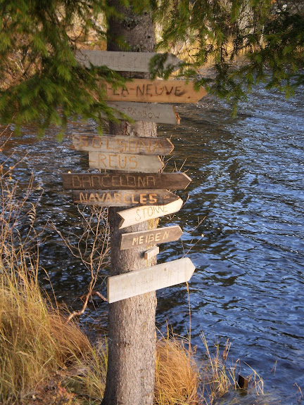 PA240209.JPG
