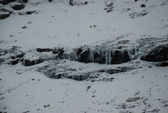 DSC_1789.JPG