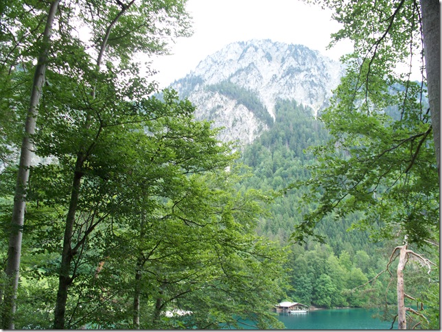 alpsee and mountain