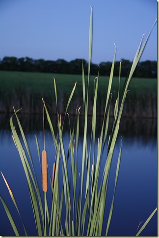 IMG_7457 IMG_7457