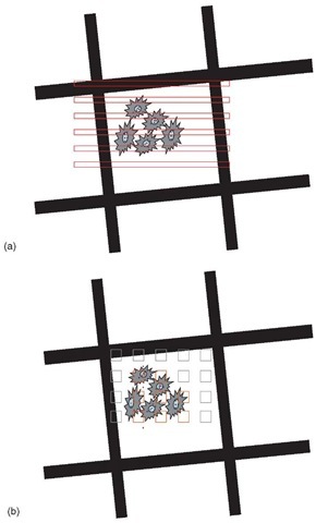 Labeling distribution. Systematic sampling of particulate immunolabeling can be achieved using all available sections on an EM grid. But usually an area of interest such as an EM grid hole (or holes) containing optimally contrasted section(s) is selected=