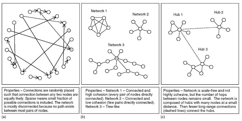 Sample networks illustrate network properties, (a) Erdos-Renyi (E-R) network; (b) three sample connected networks; and (c) scale-free and small-network is based on hubs with longer range links 