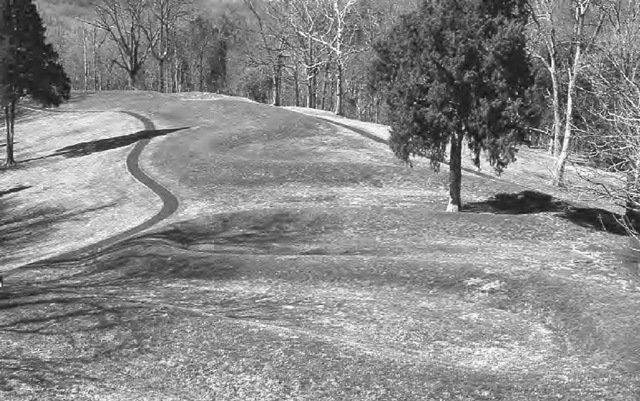 Part of the Serpent Mound, a solstitially oriented effigy mound in southern Ohio. 