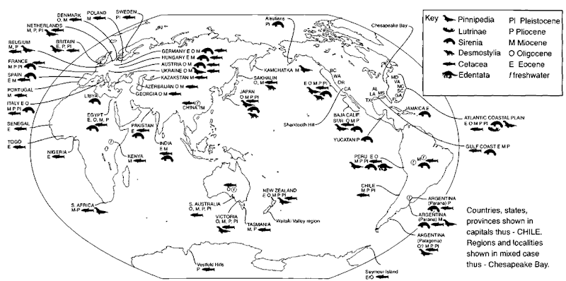 Selected localities for fossil marine mammals. 