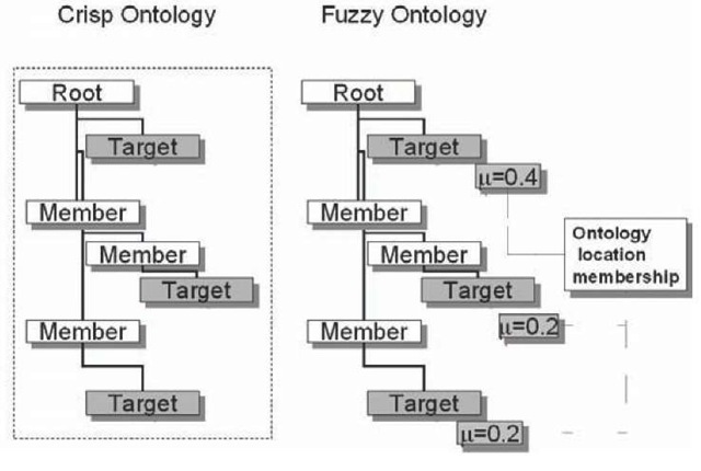 The fuzzy ontology 