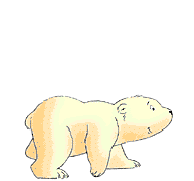 [polarbearcub[48].gif]