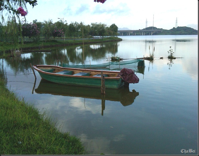 IMG00022-20100715-1600