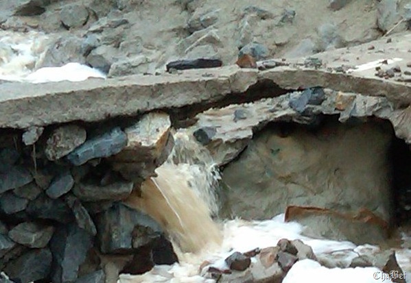 [IMG00008201012260725crop7.jpg]