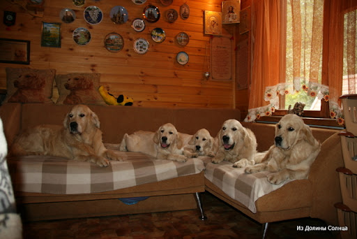 СЂРµР№%20091.jpg