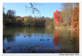 Derni&egrave;res couleurs de l'automne