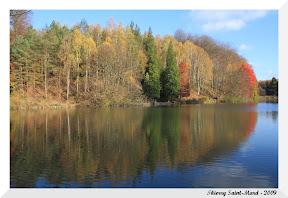 Derni&egrave;res couleurs de l'automne