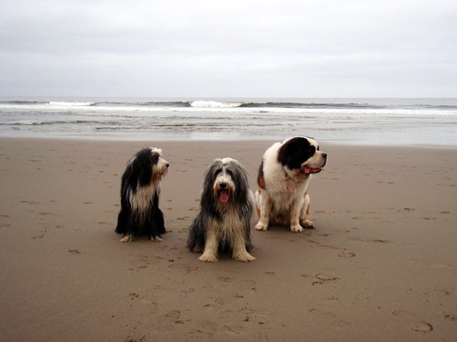[2009_May250113.jpg]