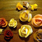 Nº107: Rosas de los dos tamaños.
