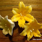 Nº101: Azahares y Lilium.